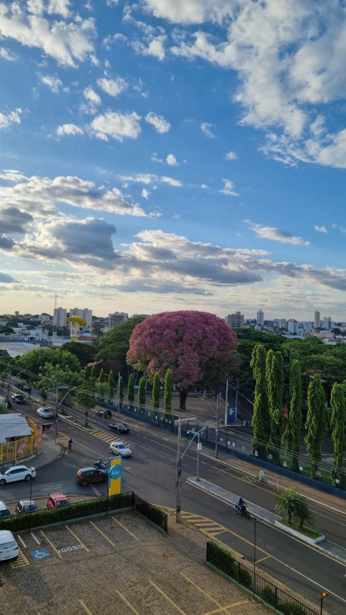 Hotel Golden Park Uberaba By Nacional Inn Phòng bức ảnh